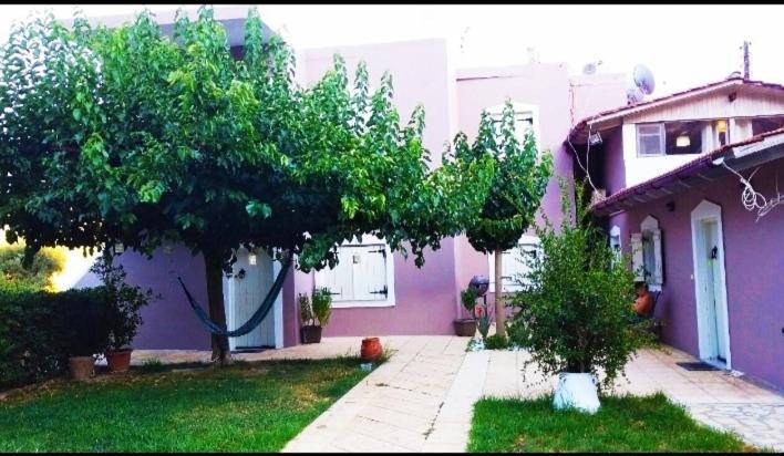 "Villa Kanavos" Apts Matala Zewnętrze zdjęcie