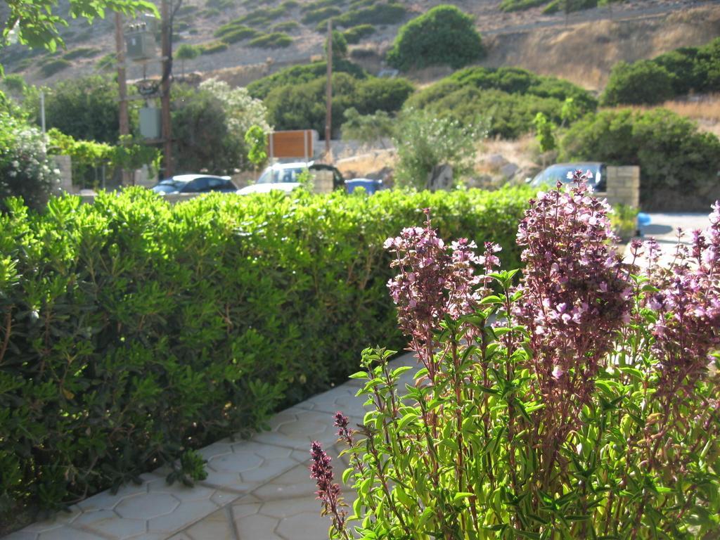 "Villa Kanavos" Apts Matala Pokój zdjęcie